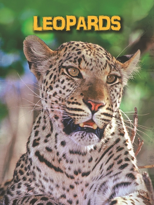 Title details for Leopards by Claire Throp - Available